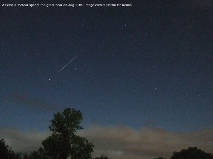 Perseid Meteor 1